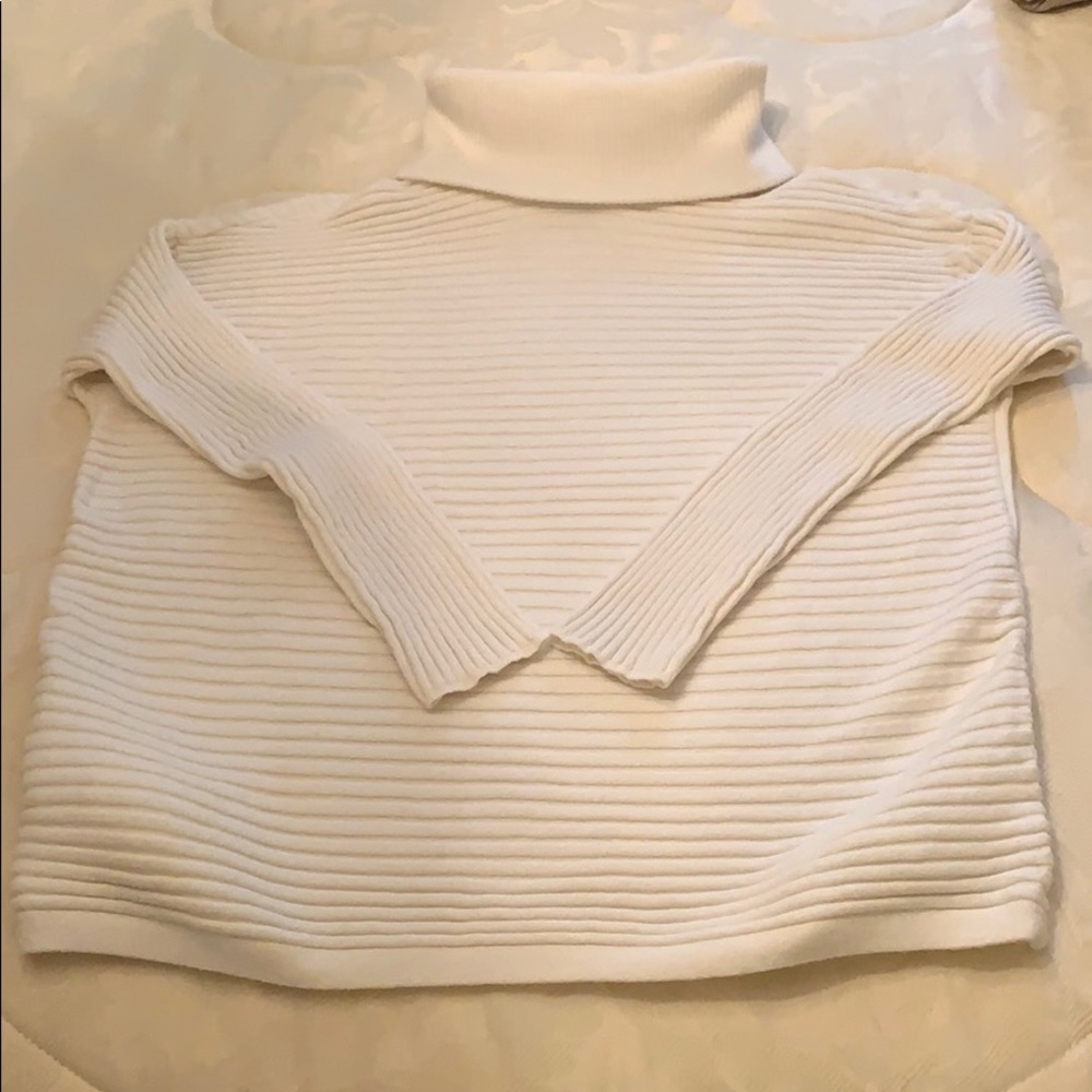 Chico’s turtleneck sweater